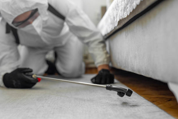 Professional Cockroach Control technician working in Franklin Square, NY