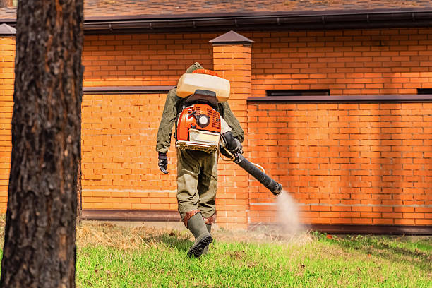 Trusted Termite Control service in Franklin Square, NY - Nex Pest Control